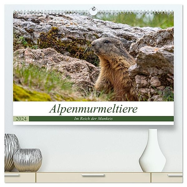 Alpenmurmeltiere - Im Reich der Mankeis (hochwertiger Premium Wandkalender 2024 DIN A2 quer), Kunstdruck in Hochglanz, Ursula Di Chito