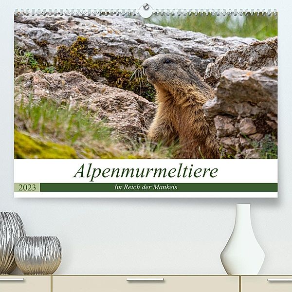 Alpenmurmeltiere - Im Reich der Mankeis (Premium, hochwertiger DIN A2 Wandkalender 2023, Kunstdruck in Hochglanz), Ursula Di Chito
