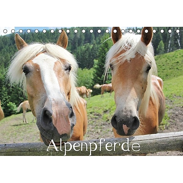 Alpenpferde (Tischkalender 2017 DIN A5 quer), Katrin Lantzsch