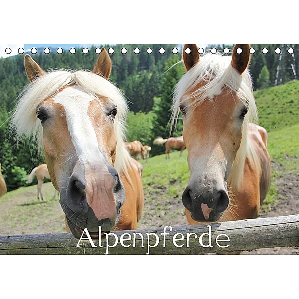 Alpenpferde (Tischkalender 2018 DIN A5 quer), Katrin Lantzsch