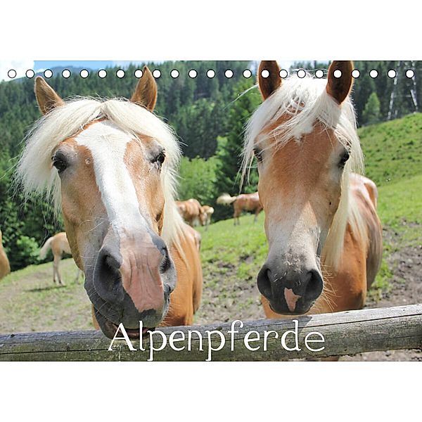 Alpenpferde (Tischkalender 2023 DIN A5 quer), Katrin Lantzsch