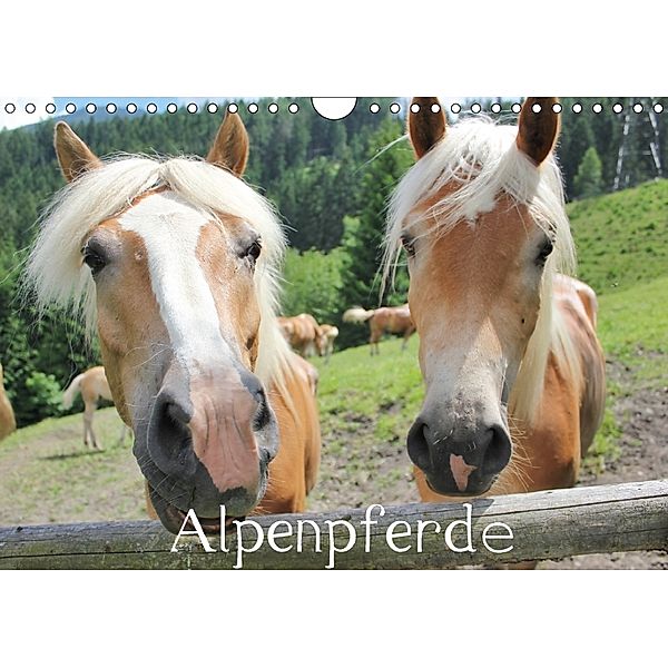 Alpenpferde (Wandkalender 2018 DIN A4 quer), Katrin Lantzsch