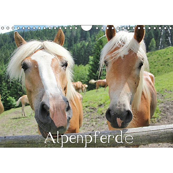 Alpenpferde (Wandkalender 2019 DIN A4 quer), Katrin Lantzsch