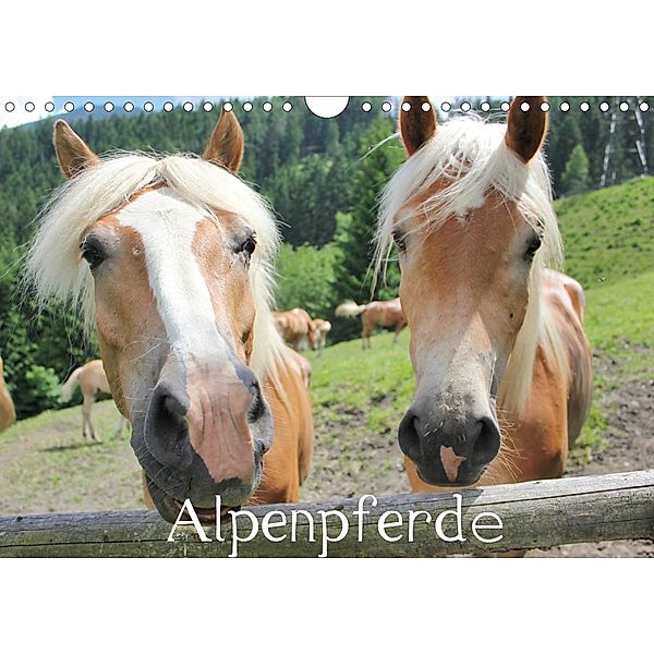 Alpenpferde (Wandkalender 2021 DIN A4 quer), Katrin Lantzsch