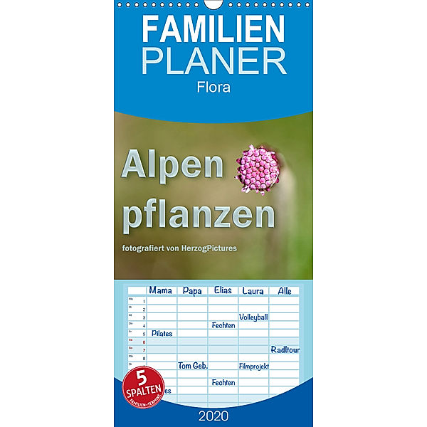 Alpenpflanzen fotografiert von HerzogPictures - Familienplaner hoch (Wandkalender 2020 , 21 cm x 45 cm, hoch)