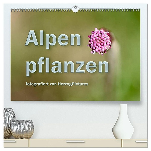 Alpenpflanzen fotografiert von HerzogPictures (hochwertiger Premium Wandkalender 2024 DIN A2 quer), Kunstdruck in Hochglanz, HerzogPictures