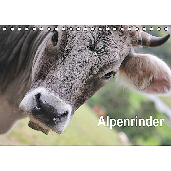 Alpenrinder (Tischkalender 2019 DIN A5 quer), Katrin Lantzsch