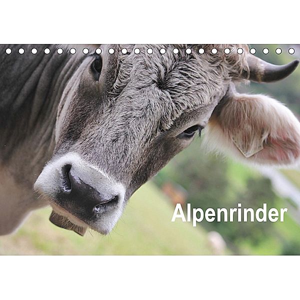 Alpenrinder (Tischkalender 2021 DIN A5 quer), Katrin Lantzsch