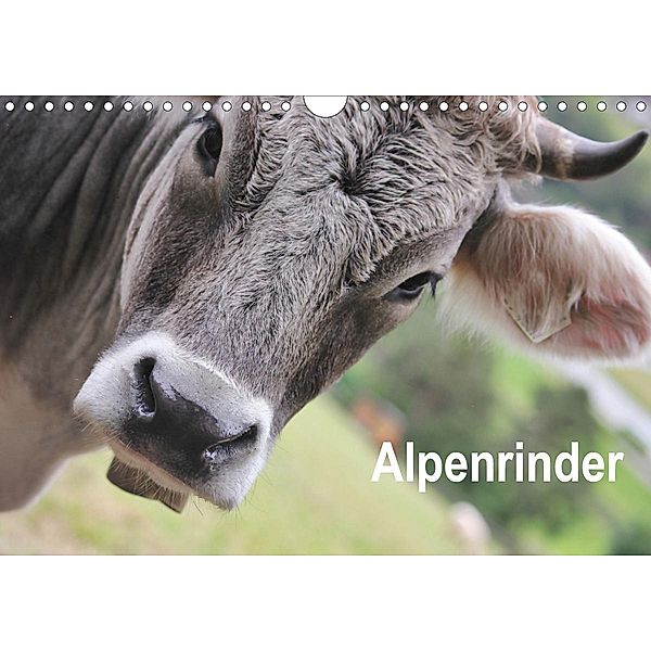 Alpenrinder (Wandkalender 2021 DIN A4 quer), Katrin Lantzsch