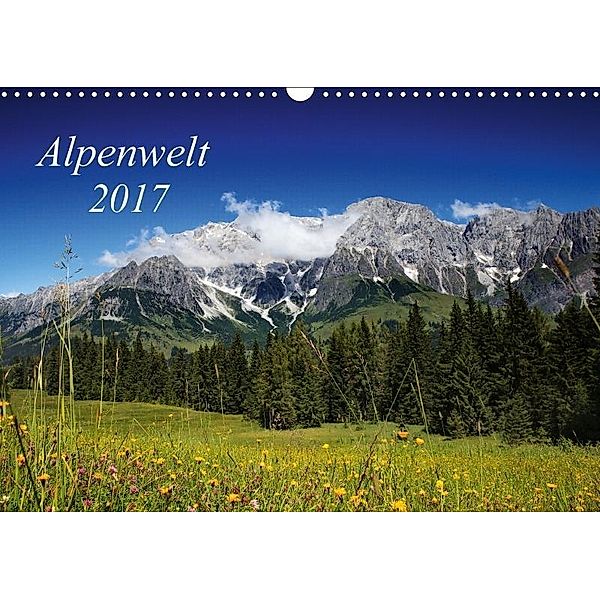 Alpenwelt 2017 (Wandkalender 2017 DIN A3 quer), Nailia Schwarz