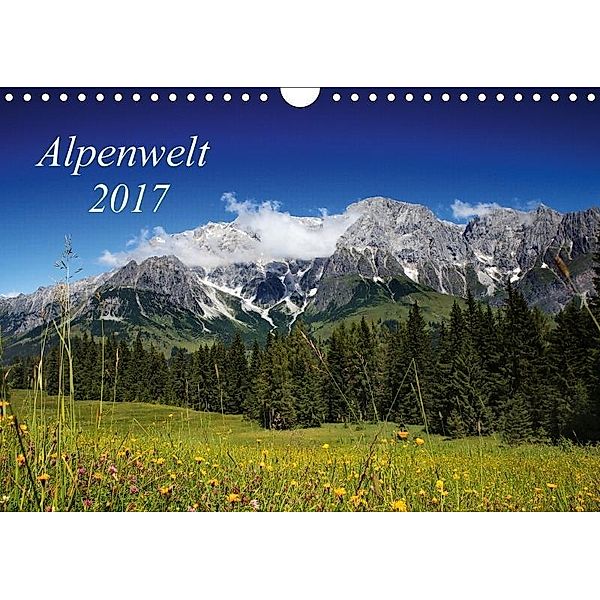 Alpenwelt 2017 (Wandkalender 2017 DIN A4 quer), Nailia Schwarz