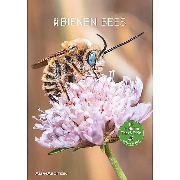Alpha Edition - Bienen 2025 Bildkalender, 23,7x34cm, Kalender mit hochwertigen Bienen-Motiven, Mondphasen, Kalenderwochen, Ferientermine DE/AT/CH und deutsches Kalendarium