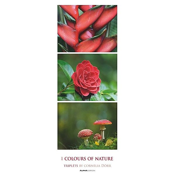 Alpha Edition - Colours of Nature: Triplets 2025 Streifenkalender XXL, 25x69cm, Kalender mit 3 aufeinander abgestimmten Bildern pro Monat, Notizmöglichkeiten und internationales Kalendarium