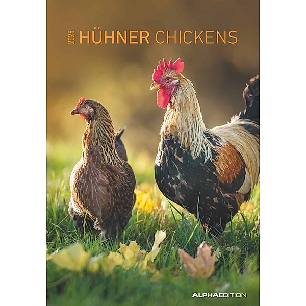 Alpha Edition - Hühner 2025 Bildkalender, 23,7x34cm, Kalender mit amüsanten Hühner-Abbildungen, Pollenflugkalender, Ferientermine DE/AT/CH und internationalem Kalendarium