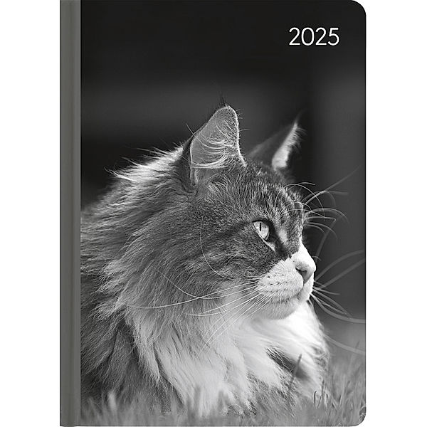 Alpha Edition - Ladytimer Cat 2025 Taschenkalender, 10,7x15,2cm, Kalender mit 192 Seiten, Notizmöglichkeiten nach jedem Tag, Bucket List, Mondphasen und internationales Kalendarium