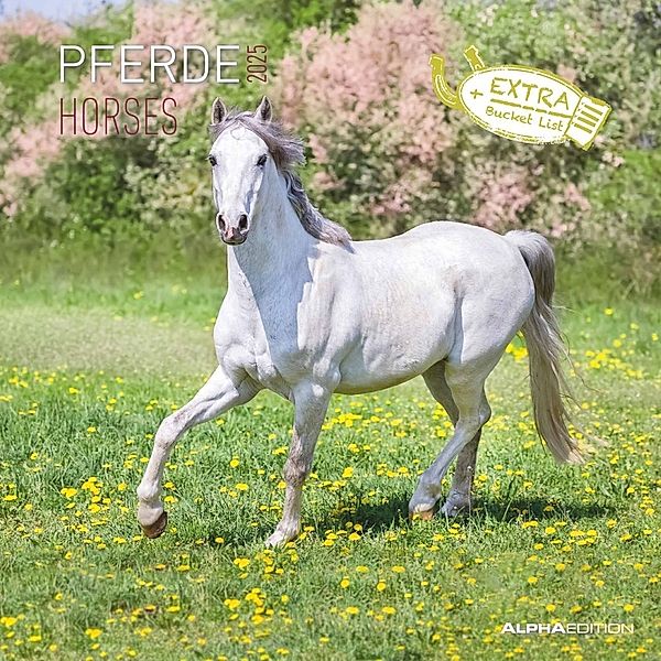 Alpha Edition - Pferde 2025 Broschürenkalender, 30x30cm, Wandkalender mit Platz für Notizen und Termine, beeindruckende Motive von Pferden, Monatsübersicht und Ferientermine DE/AT/CH
