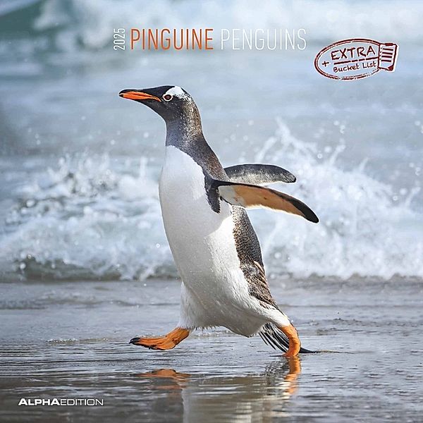 Alpha Edition - Pinguine 2025 Broschürenkalender, 30x30cm, Wandkalender mit Platz für Notizen und Termine, Motive von süssen Pinguinen, Monatsübersicht und Ferientermine DE/AT/CH