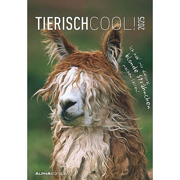 Alpha Edition - Tierisch cool! 2025 Bildkalender, 23,7x34cm, Wandkalender mit Platz für Notizen und vielen Infos, Bilder aus der Tierwelt, deutsches Kalendarium und Ferientermine DE/AT/CH