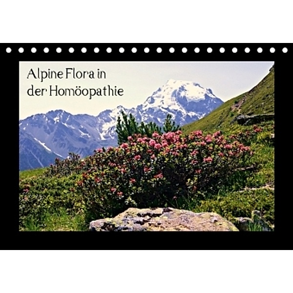 Alpine Flora in der Homöopathie (Tischkalender 2017 DIN A5 quer), Claudia Schimon