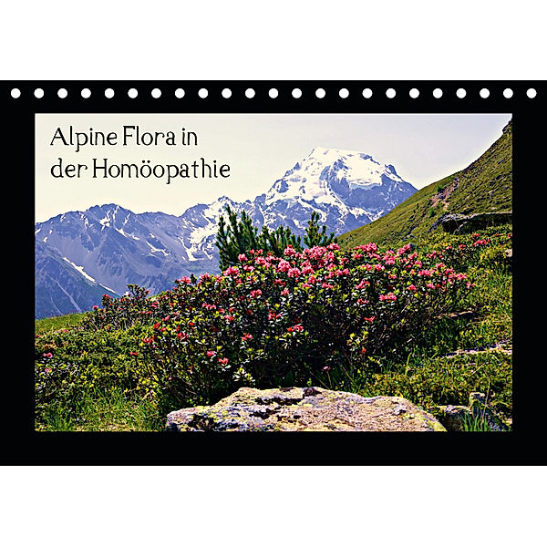 Alpine Flora in der Homöopathie (Tischkalender 2019 DIN A5 quer), Claudia Schimon