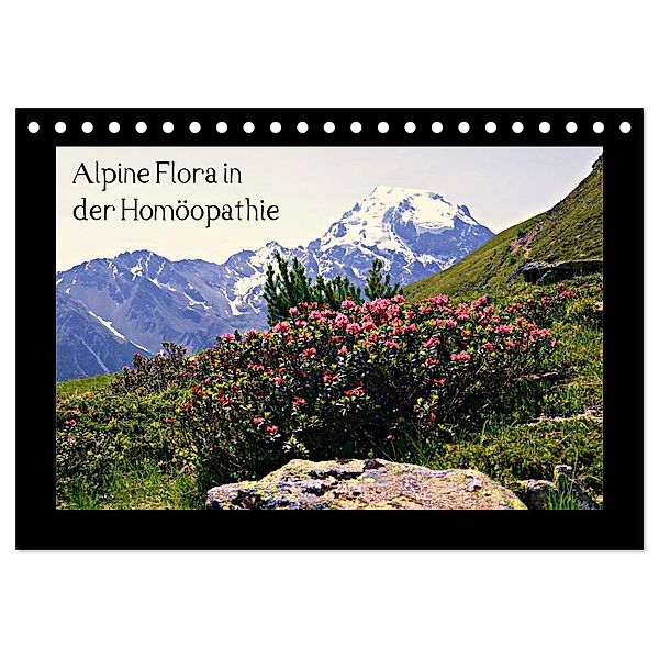 Alpine Flora in der Homöopathie (Tischkalender 2024 DIN A5 quer), CALVENDO Monatskalender, Claudia Schimon