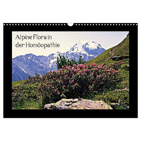 Alpine Flora in der Homöopathie (Wandkalender 2024 DIN A3 quer), CALVENDO Monatskalender, Claudia Schimon