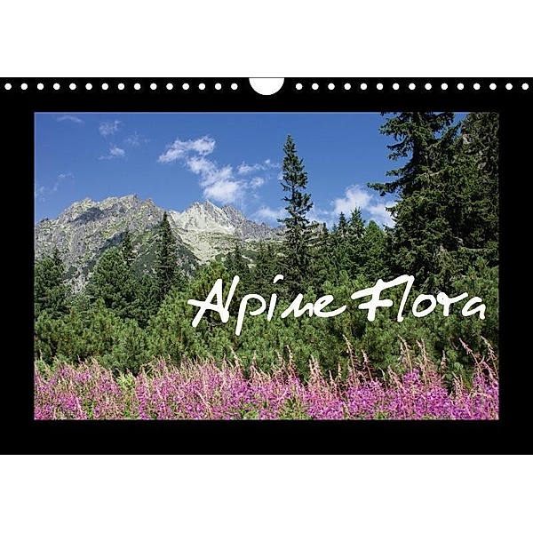 Alpine Flora (Wandkalender 2017 DIN A4 quer), Jan Wolf