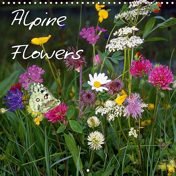 Alpine Flowers (Wall Calendar 2018 300 × 300 mm Square), Lothar Reupert
