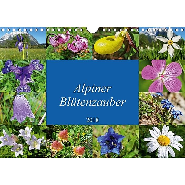 Alpiner Blütenzauber (Wandkalender 2018 DIN A4 quer) Dieser erfolgreiche Kalender wurde dieses Jahr mit gleichen Bildern, Leo Bucher