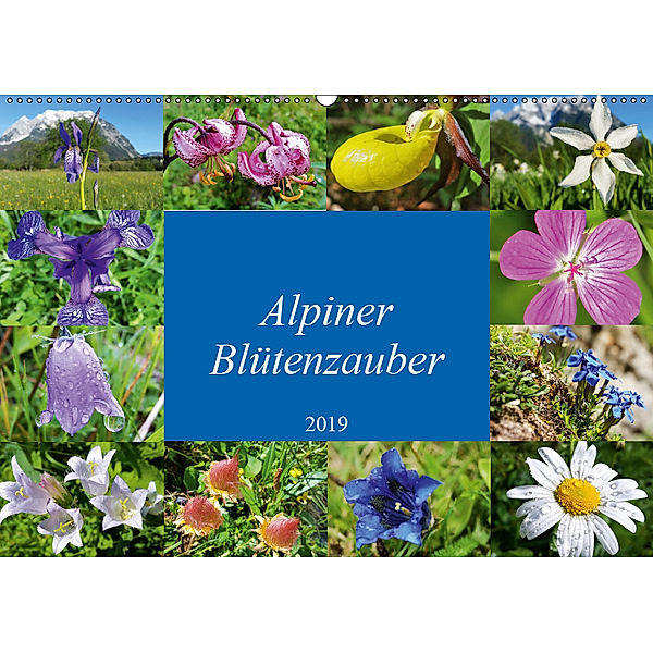 Alpiner Blütenzauber (Wandkalender 2019 DIN A2 quer), Leo Bucher