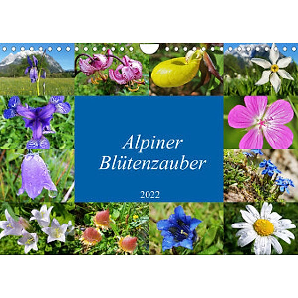 Alpiner Blütenzauber (Wandkalender 2022 DIN A4 quer), Leo Bucher