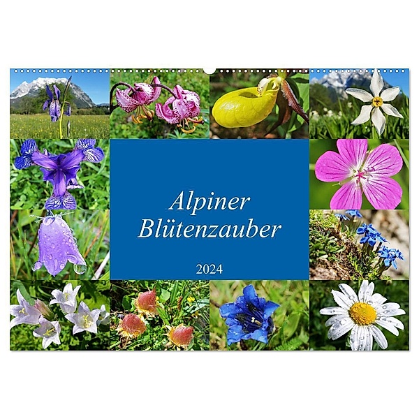 Alpiner Blütenzauber (Wandkalender 2024 DIN A2 quer), CALVENDO Monatskalender, Leo Bucher