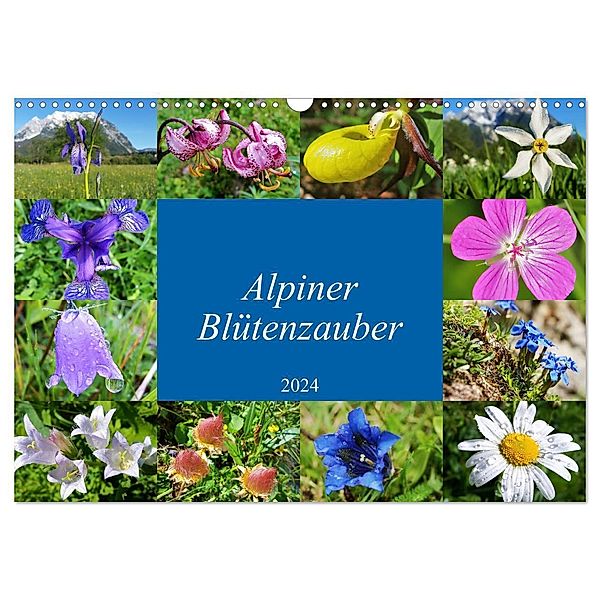 Alpiner Blütenzauber (Wandkalender 2024 DIN A3 quer), CALVENDO Monatskalender, Leo Bucher