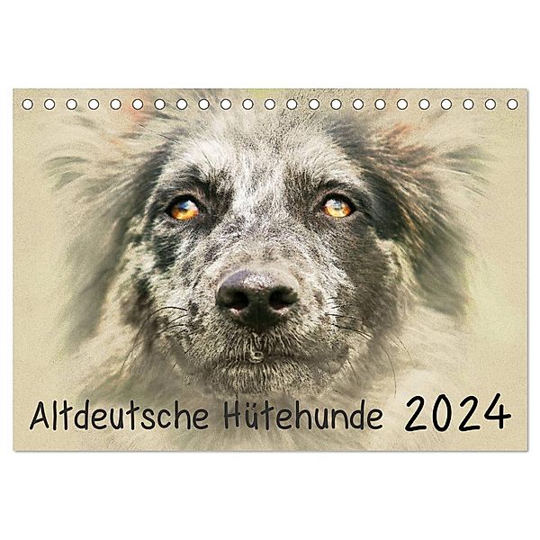 Altdeutsche Hütehunde 2024 (Tischkalender 2024 DIN A5 quer), CALVENDO Monatskalender, Andrea Redecker
