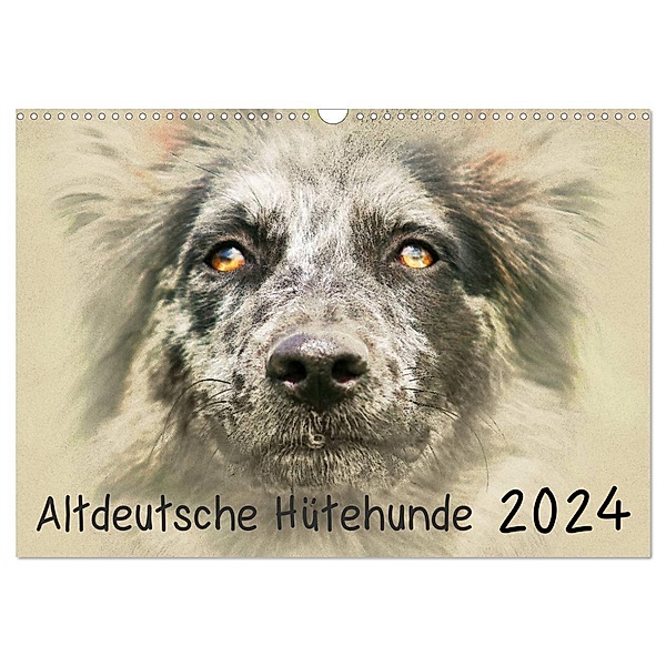 Altdeutsche Hütehunde 2024 (Wandkalender 2024 DIN A3 quer), CALVENDO Monatskalender, Andrea Redecker