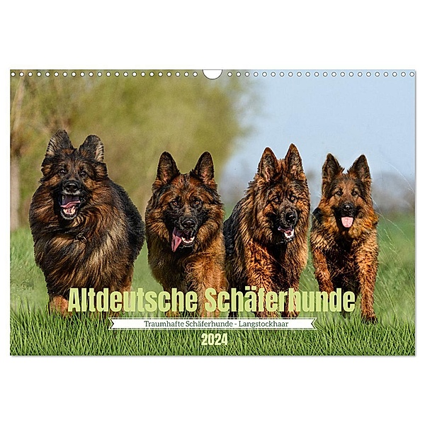 Altdeutsche Schäferhunde - Traumhafte Schäferhunde Langstockhaar (Wandkalender 2024 DIN A3 quer), CALVENDO Monatskalender, Jana K. Fotografie