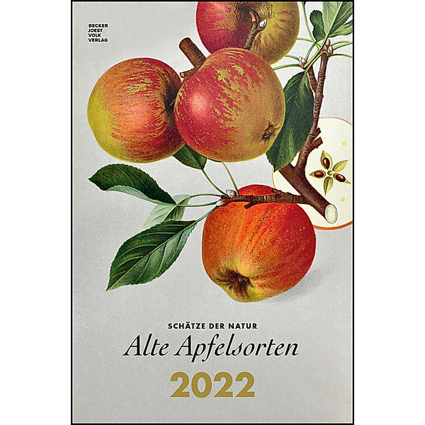 Alte Apfelsorten 2022