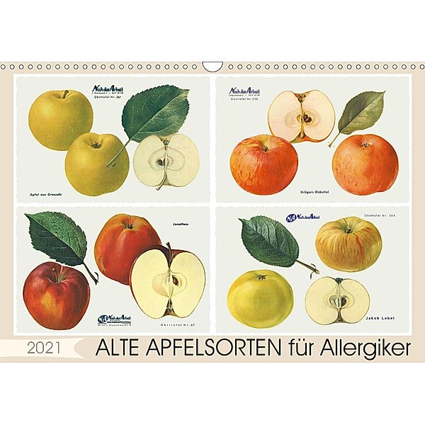 Alte Apfelsorten für Allergiker (Wandkalender 2021 DIN A3 quer), Lucy M. Laube