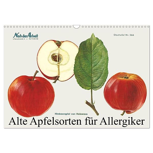 Alte Apfelsorten für Allergiker (Wandkalender 2024 DIN A3 quer), CALVENDO Monatskalender, Willi 1948