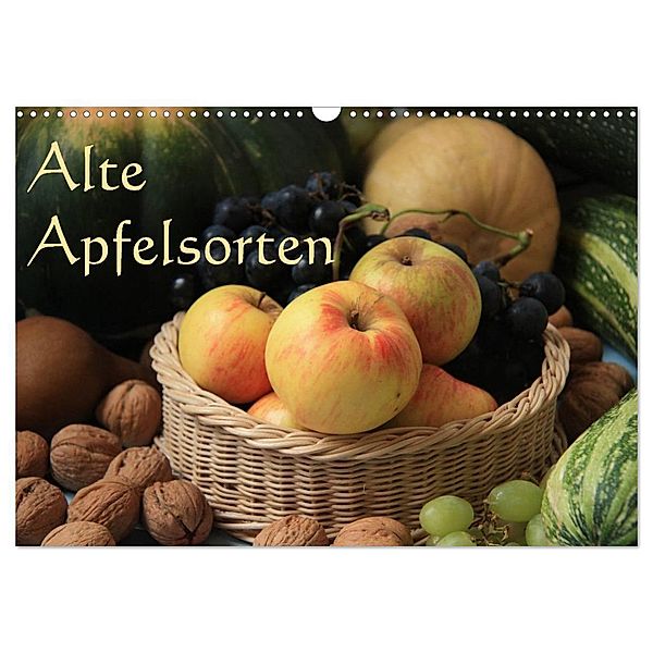 Alte Apfelsorten (Wandkalender 2024 DIN A3 quer), CALVENDO Monatskalender, Geotop Bildarchiv/I. Gebhard