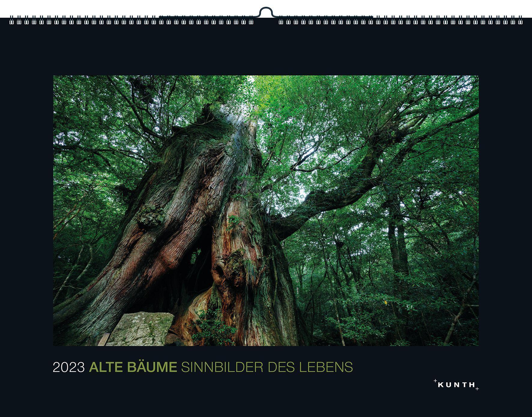 Sinnbilder des Lebens 2022 Kunth Verlag Alte Bäume 