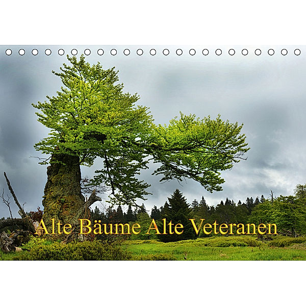 Alte Bäume Alte Veteranen (Tischkalender 2019 DIN A5 quer), Alte Bäume Alte Veteranen