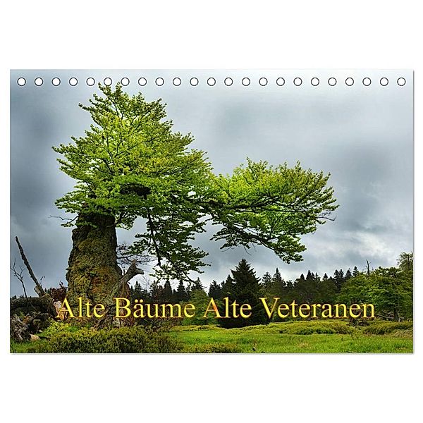 Alte Bäume Alte Veteranen (Tischkalender 2024 DIN A5 quer), CALVENDO Monatskalender, Alte Bäume Alte Veteranen