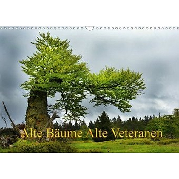 Alte Bäume Alte Veteranen (Wandkalender 2020 DIN A3 quer), Alte Bäume Alte Veteranen