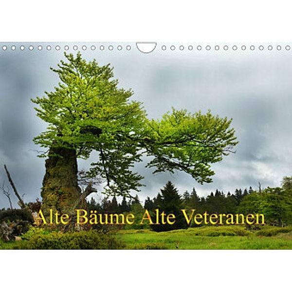 Alte Bäume Alte Veteranen (Wandkalender 2022 DIN A4 quer), Alte Bäume Alte Veteranen