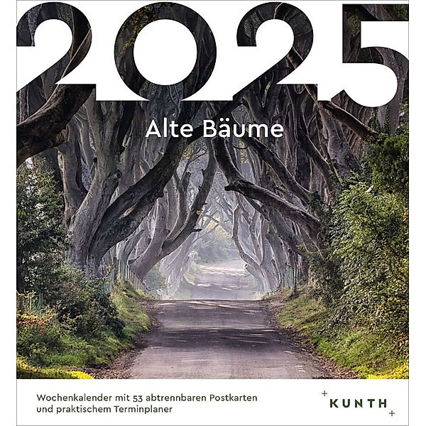 Alte Bäume - KUNTH Postkartenkalender 2025