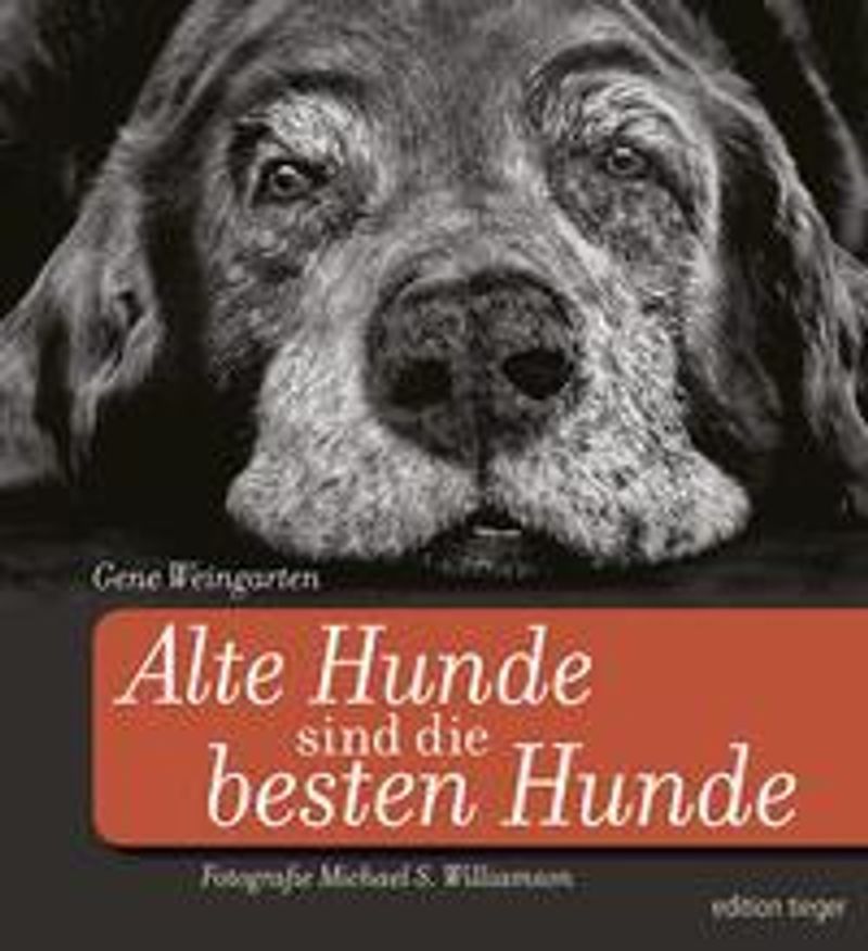 Alte Hunde sind die besten Hunde Buch versandkostenfrei bei Weltbild.ch