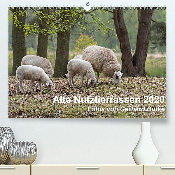 Alte Nutztierrassen 2020 (Premium-Kalender 2020 DIN A2 quer), Gerhard Butke