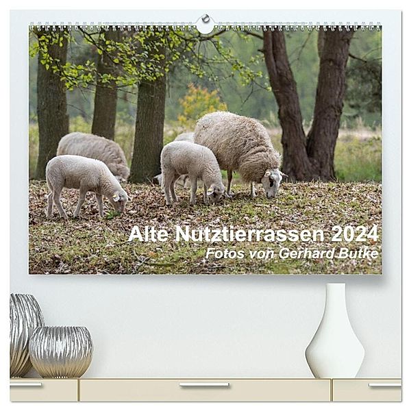 Alte Nutztierrassen 2024 (hochwertiger Premium Wandkalender 2024 DIN A2 quer), Kunstdruck in Hochglanz, Gerhard Butke