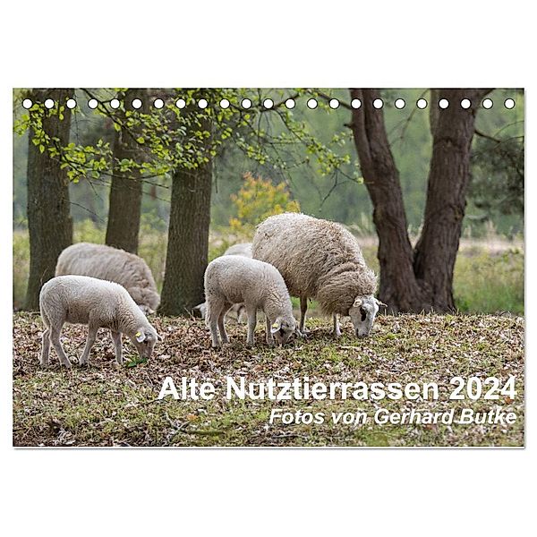 Alte Nutztierrassen 2024 (Tischkalender 2024 DIN A5 quer), CALVENDO Monatskalender, Gerhard Butke